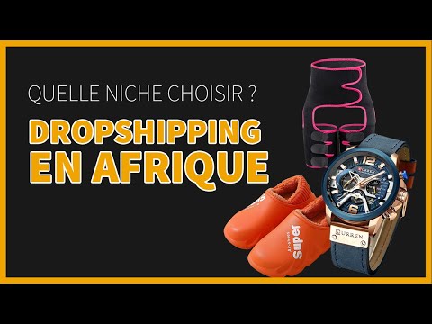 Quelle niche choisir en dropshipping depuis l'afrique