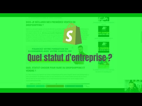 Quel statut d'entreprise pour Shopify ? Auto-entrepreneur, micro ou société ?