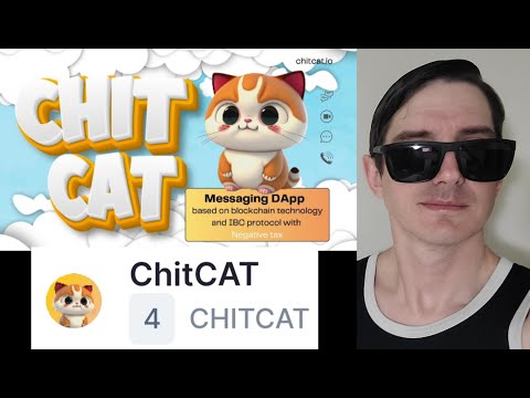 $CHITCAT - CHITCAT TOKEN CRYPTO COIN ALTCOIN HOW TO BUY MEME CAT NFT NFTS BSC ETH BNB CATCOIN NEW