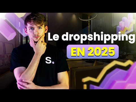Mon avis sur le dropshipping en 2025 (100% honnête) - New Story Ecom