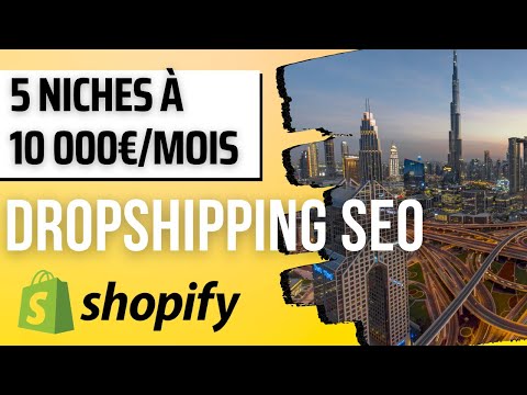 5 niches à 10 000€/mois en Dropshipping SEO