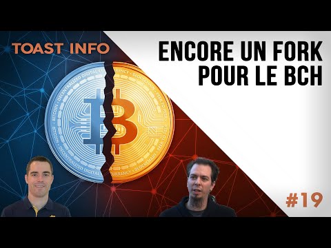 FORK DU BITCOIN CASH - VERS LA FIN DU BCH ?