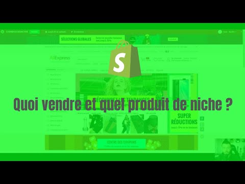 Quoi vendre et quel produit ou niche sur Shopify ?