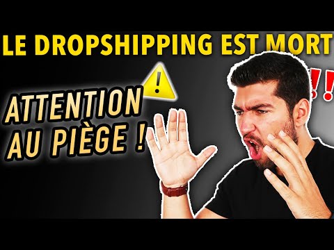 💀 LE DROPSHIPPING EST MORT EN 2023… VOILÀ CE QUI VA LE REMPLACER