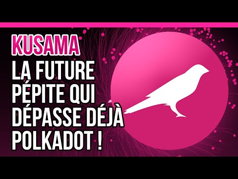 Kusama : Bien plus qu'un test, c'est un projet novateur | Review | CryptoRobin France