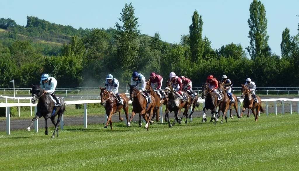 Les meilleurs sites de paris sportif pour gagner de l’argent 2 Paris sportif - Bénéficier de nombreuses promotion avec le PMU