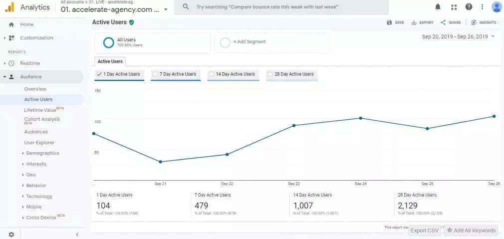 Google analytics - Rapport 