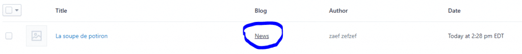 créer un blog sur Shopify - Tutoriel complet 6 image 26