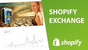 Un exemple de boutique en ligne de dropshipping à acheter ou vender en ligne sur la plateforme shopify exchange.