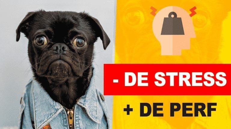 Comment gérer le stress et le doute d'entreprendre ?