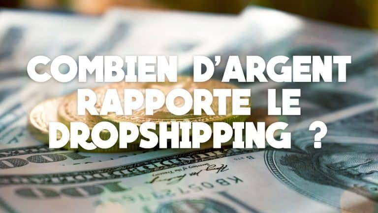 Salaire en dropshipping : quel revenu à la fin du mois ? 2 Combiengagnet onvraimentendropshipping?