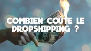 De l'argent et des dépenses sont montrées avec des dollars et euros pour les coûtes en dropshipping