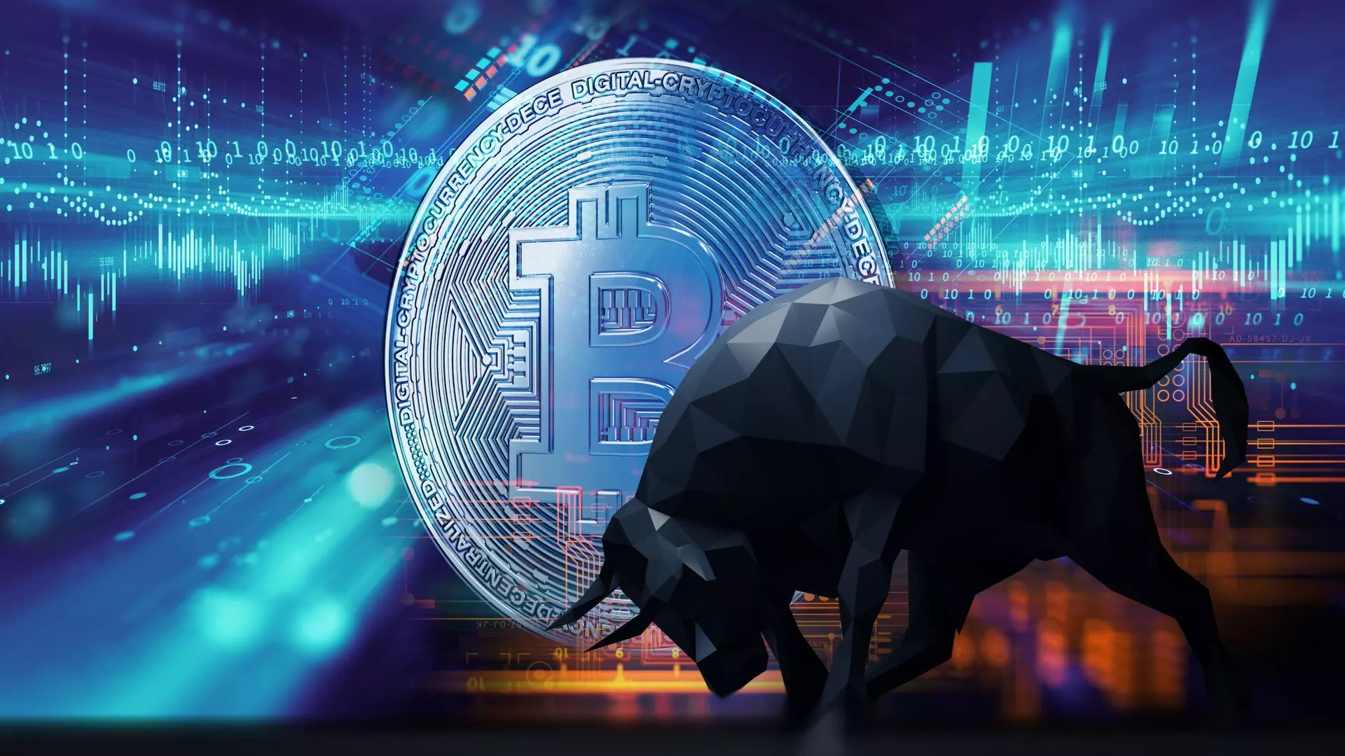 Qu’est-ce qu’un bull run et bear market ? Les différences 1 Bull run - Un marché haussier