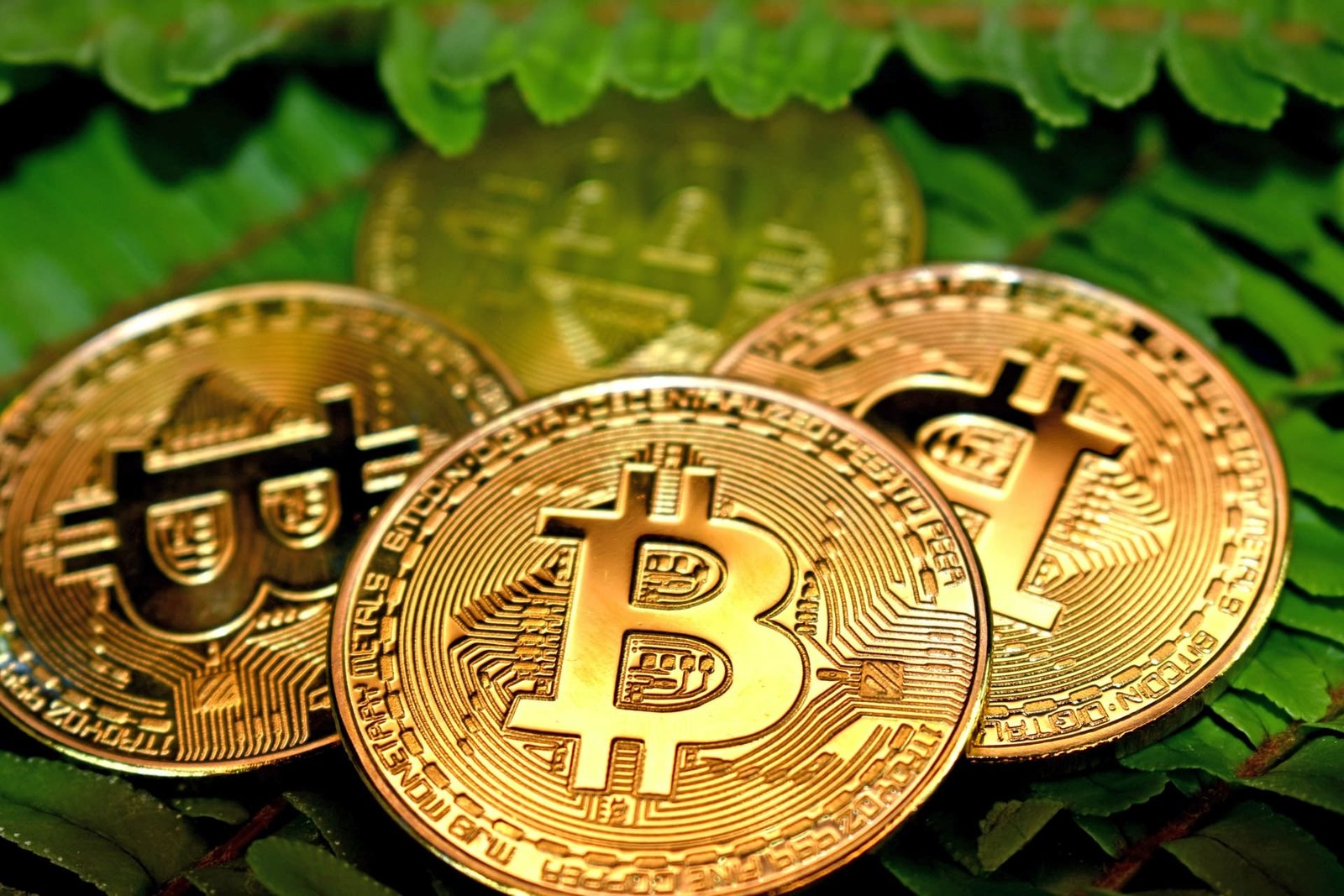 Explication de la cryptomonnaie : Les risques