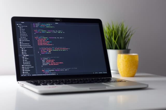 Fonctionnement Shopify - Comprendre le JavaScript