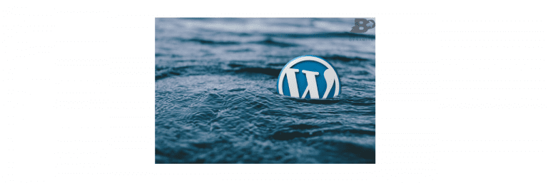 Comment avoir un bon référencement d'un site WordPress ? 8 WordPress