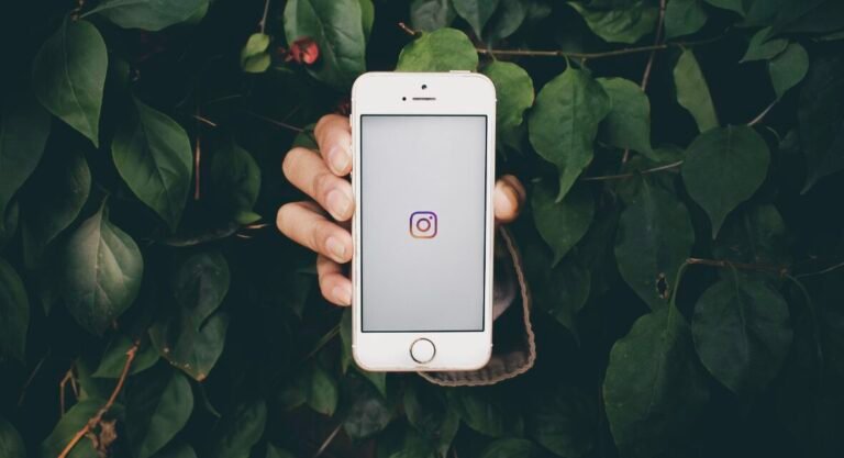40 hooks et phrases d'accroche pour vos reels Instagram 4 Un hook instagram marqué sur un téléphone mobile présenté par une main dans un buisson.
