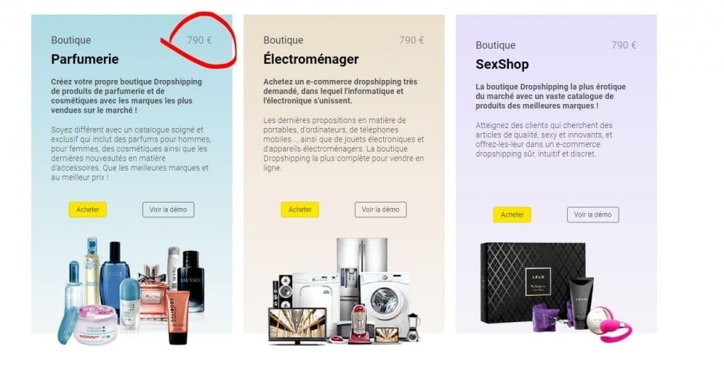 Acheter une boutique de dropshipping, quelques exemples