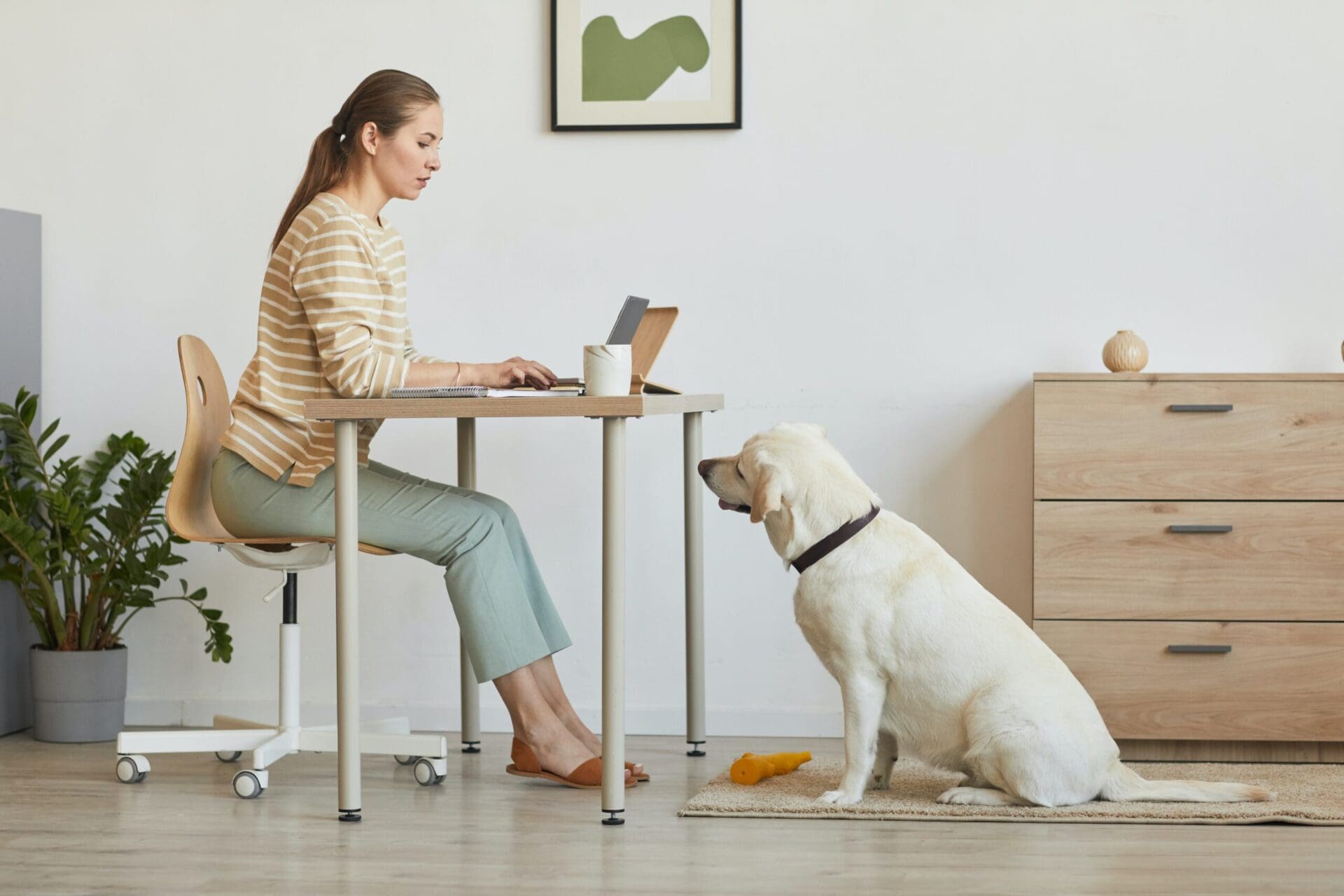 Une femme travaillant à son bureau avec un chien et un ordinateur pour être Pet Sitter.