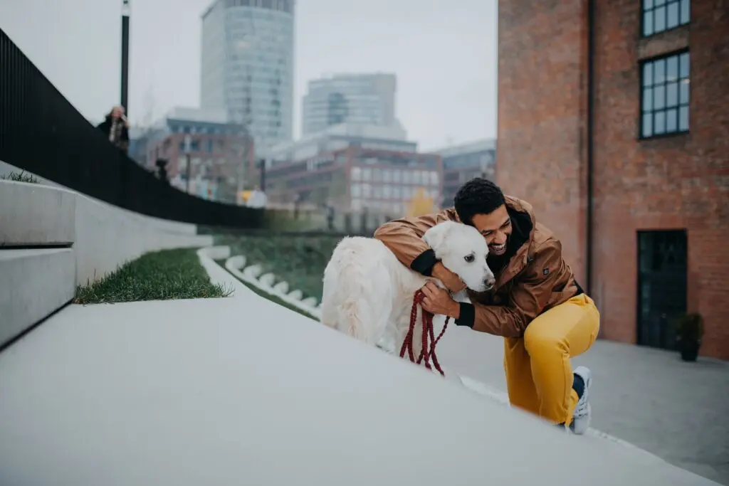 Comment garder des animaux et gagner de l'argent - Métier de Pet Sitter 4 getty images WYmo9w97WWg unsplash