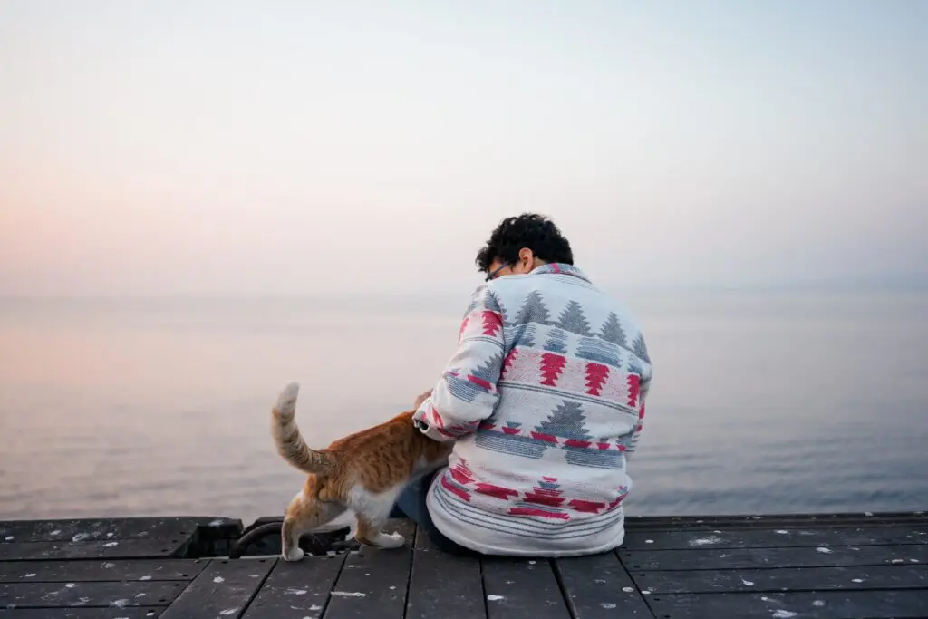 Comment garder des animaux et gagner de l'argent - Métier de Pet Sitter 2 yunus tug e0 nR IQLgc unsplash
